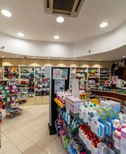 Gallery Professionale