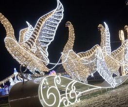 Magisch. Einzigartig. Und noch nie da gewesen. Die THÜRINGER GLITZERWELT ist das Event-Highlight dieses Winters. Auf einen Blick: