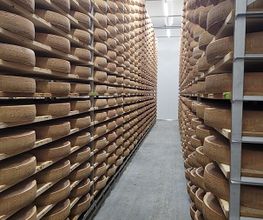 Fromagerie/Käserei Friseneit Bild 3
