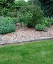 Robert Espaces Verts image 1