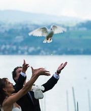 Hochzeitstauben Burlet Bild 1