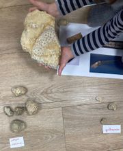 Ecole Montessori Internationale de Conflans image 4