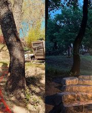 Roche Marvin image 1