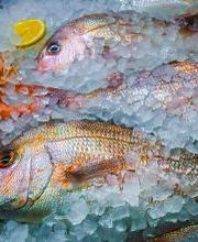 Peixateríes Martí imagen 8