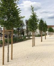 Savariau SARL image 6