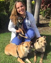 University Animal Clinic image 4