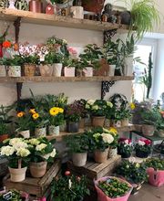 Fleurs Et Tralala! image 1