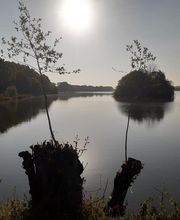 Lebasque Geraldine image 4