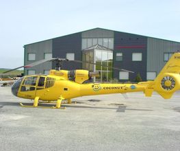 Junker Marc image 2