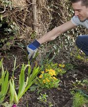 Moisan Thomas image 1