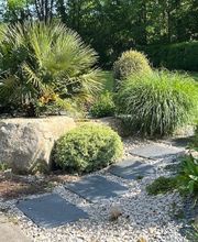 Bertrand Paysage image 6