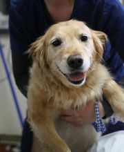 Borash Veterinary Clinic image 12