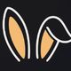 Bunni Executor