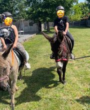 Eclair et Coquin image 7