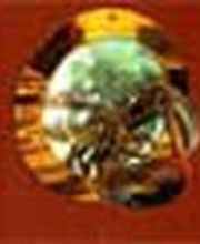 Augusto Chez Laurent image 15