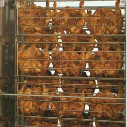 MASTER POULET - Rosny - Sous - Bois