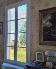 Art et Fenêtres L'aigle image 15