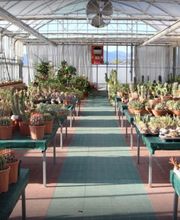 Gallery Professionale