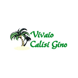 Calisi Gino Vivaio logo