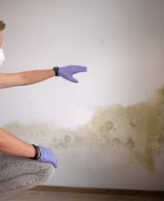 Bau-Sachverständiger Matthias R. Bickelhaupt I Pleidelsheim/bei Ludwigsburg I Bauleitung I Schadensgutachten I Wertermittlung Bild 9