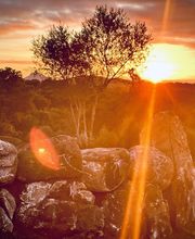 Domaine Aria Di Terra image 1