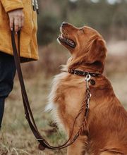 Centro Veterinario Preluna Bild 4