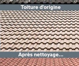 TR Couverture image 15
