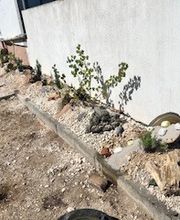 Grundstückspflege und Motorsägenkunst Colin Sand Bild 14