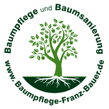 Baumpflege/Baumgutachten Franz Bauer