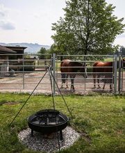 Bigler Zäune GmbH Bild 5