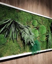 Franzen Moos Wanddesign Bild 5