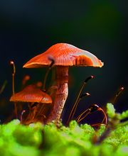 kom4all e.K. - matching media design Bild 16