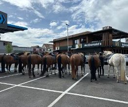 Reitstall Bühl Bild 16