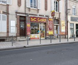 SC Gold image 11