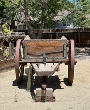 Jacobs Berry Farm image 7
