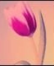 Court Sylvie EI image 2