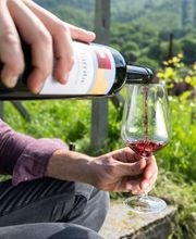 Chiericati SA Bild 4