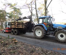 Boomverzorging Bouwmeester