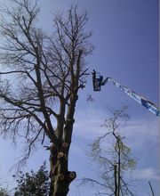 Carbonneaux Paysage image 6