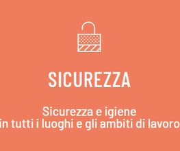 Gallery Professionale
