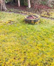 Hausmeisterservice TTN Bild 7