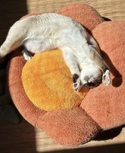 Le CHATel hôtel image 2