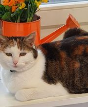 c'est le pied Fusspflege-Studio Bild 8