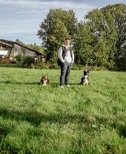 TEAMH Hundeschule Schömberg Bild 7