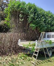 Les Touches Vertes image 7