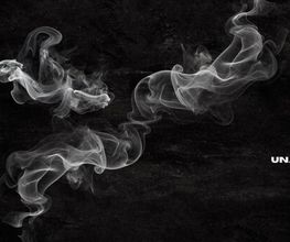 banner pief-leaf