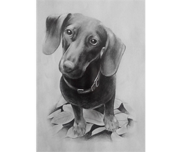 Grey-ART-ivity Bild 9