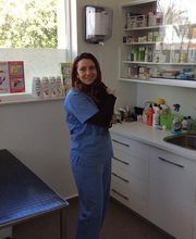 656728-clinica-veterinaria-1.jpg