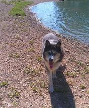 Brentwood Animal Campus image 15