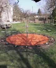 Servi Paysage image 10